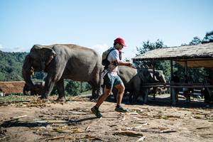 BIB: 
                            <button type="button" onclick="openModal(22423648)" class="btn btn-primary btn-sm float-right btn-popup" data-toggle="modal" data-target=".modal-high-quality">
                        <i class="fas fa-shopping-cart"></i> Add to Cart
                    </button>
                                            <button type="button" onclick="isThisMe(22423648, true)" class="btn btn-success btn-sm float-right btn-popup btn-isme hidden" data-toggle="tooltip" data-placement="bottom" title="นี่คือรูปของคุณใช่ไหม คลิกที่นี่เพื่อเอาเข้าอัลบั้ม">
                        <i class="fas fa-plus"></i> Add to album
                    </button>
                    <button type="button" onclick="isThisMe(22423648, false)" class="btn btn-warning btn-sm float-right btn-popup btn-isnotme hidden">
                        <i class="fas fa-ban"></i> Remove from album
                    </button>